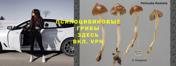 apvp Аркадак