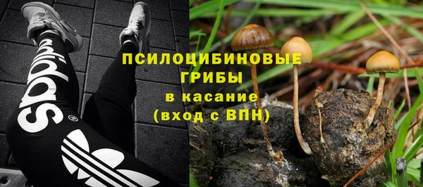 apvp Аркадак